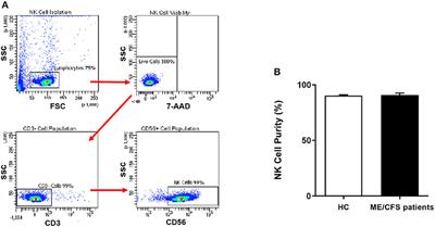 Naltrexone Restores Impaired Transient Receptor Potential Melastatin 3 Ion Channel Function in Natural Killer Cells From Myalgic Encephalomyelitis/Chronic Fatigue Syndrome Patients